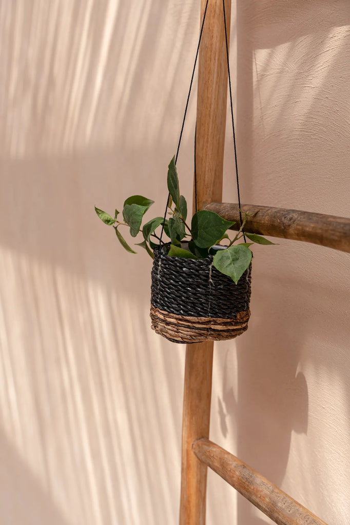 The Banana Leaf Plant Hanger - Natural Black