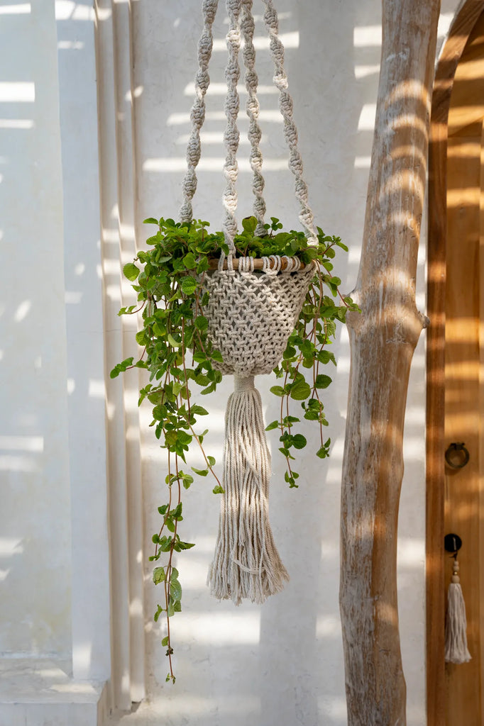 The Twisted Macrame Plant Hanger - Natural White - M